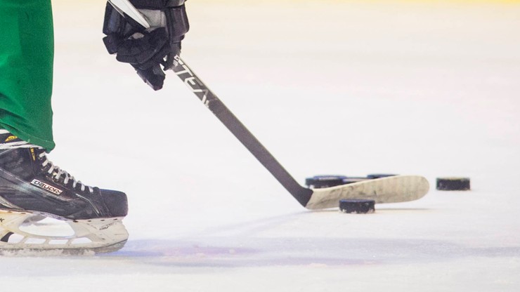 NHL: Wkrótce znany będzie skład nowej drużyny