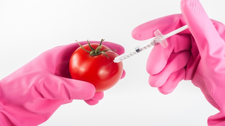 Resort rolnictwa proponuje wprowadzenie oznakowania "wolne od GMO"