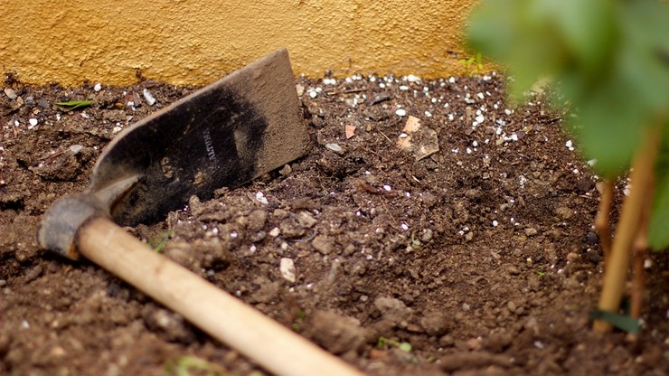 Nietypowa kara dla niezdyscyplinowanych uczniów. Metodą wychowawczą... kopanie w ogródku