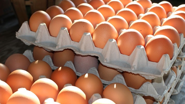 W marketach może zabraknąć jaj na święta Bożego Narodzenia. Producentów kuszą wyższe ceny za granicą