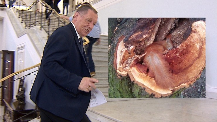 "Wiewiórka ma 6 miotów w ciągu roku, a w miocie ma do 6 młodych". Szyszko o słynnym zdjęciu